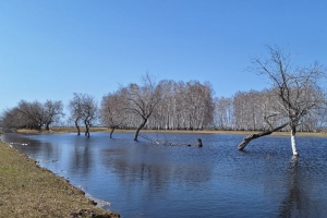 Рост уровня воды на Иртыше и его притоках в Омской области продолжится в ближайшие дни - синоптики